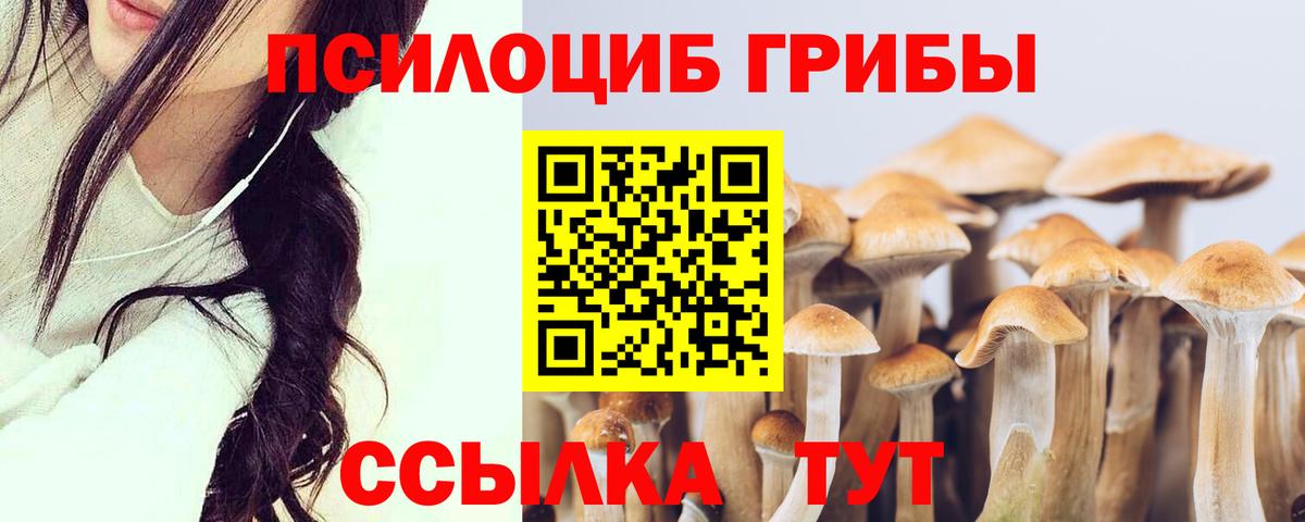 Галлюциногенные грибы прущие грибы  Вход с VPN  Новосибирск 
